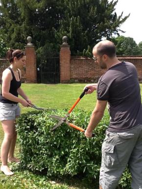 2 adults trimming a hedge in a garden